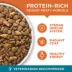 Purina ONE Microbiome Balance Dry Cat Food - Chicken & Rice Formula image thumbnail 6