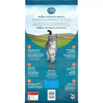 Product Purina ONE Microbiome Balance Dry Cat Food - Chicken & Rice Formula
