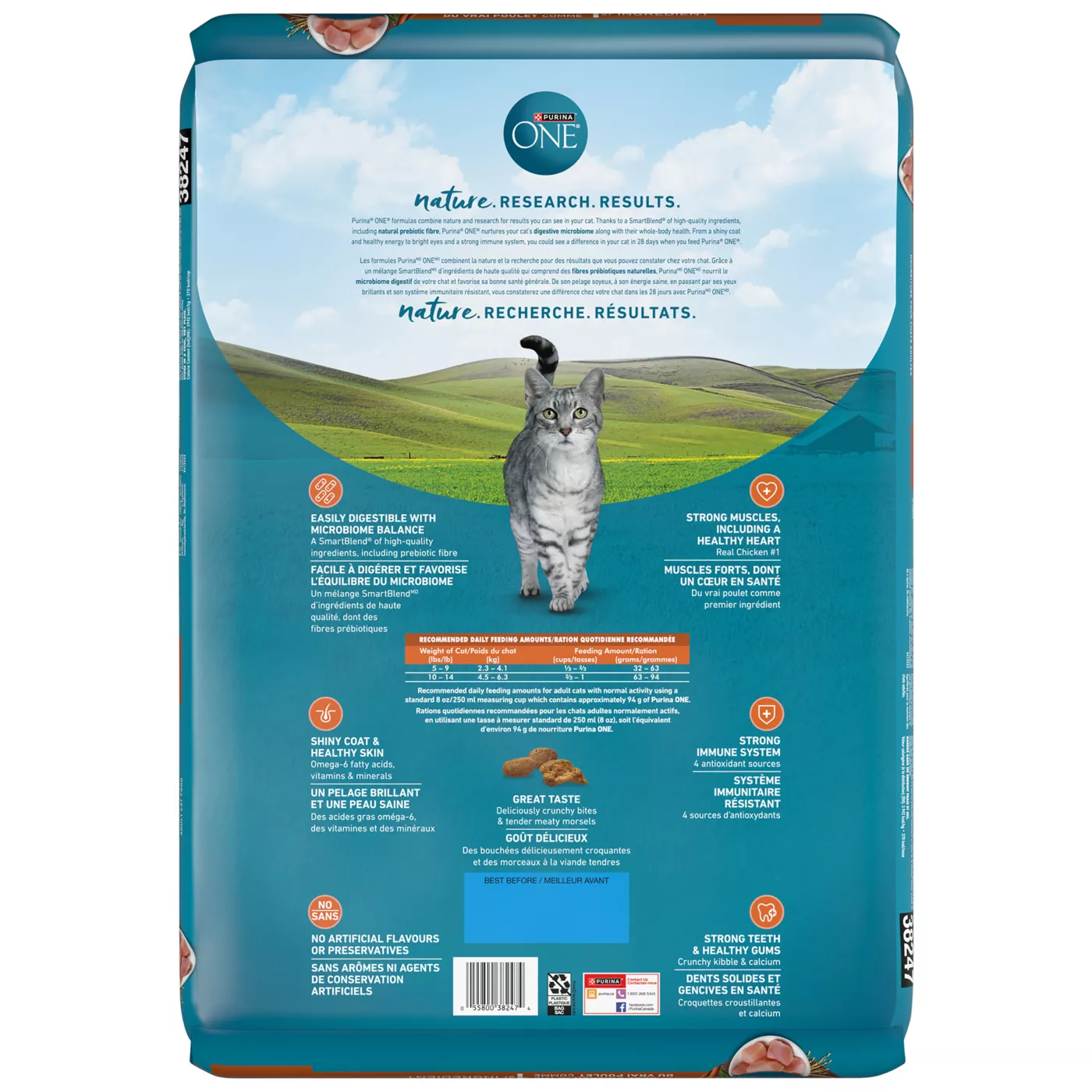 Purina cat food 6kg best sale