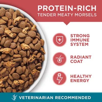 Product Purina ONE Microbiome Balance Dry Cat Food - Salmon & Rice Formula