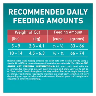 Product Purina ONE Microbiome Balance Dry Cat Food - Salmon & Rice Formula