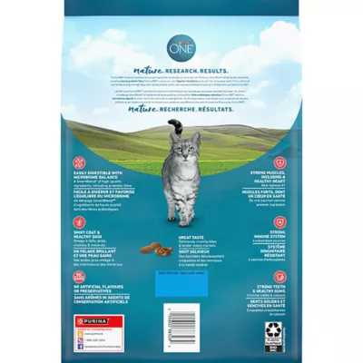 Product Purina ONE Microbiome Balance Dry Cat Food - Salmon & Rice Formula