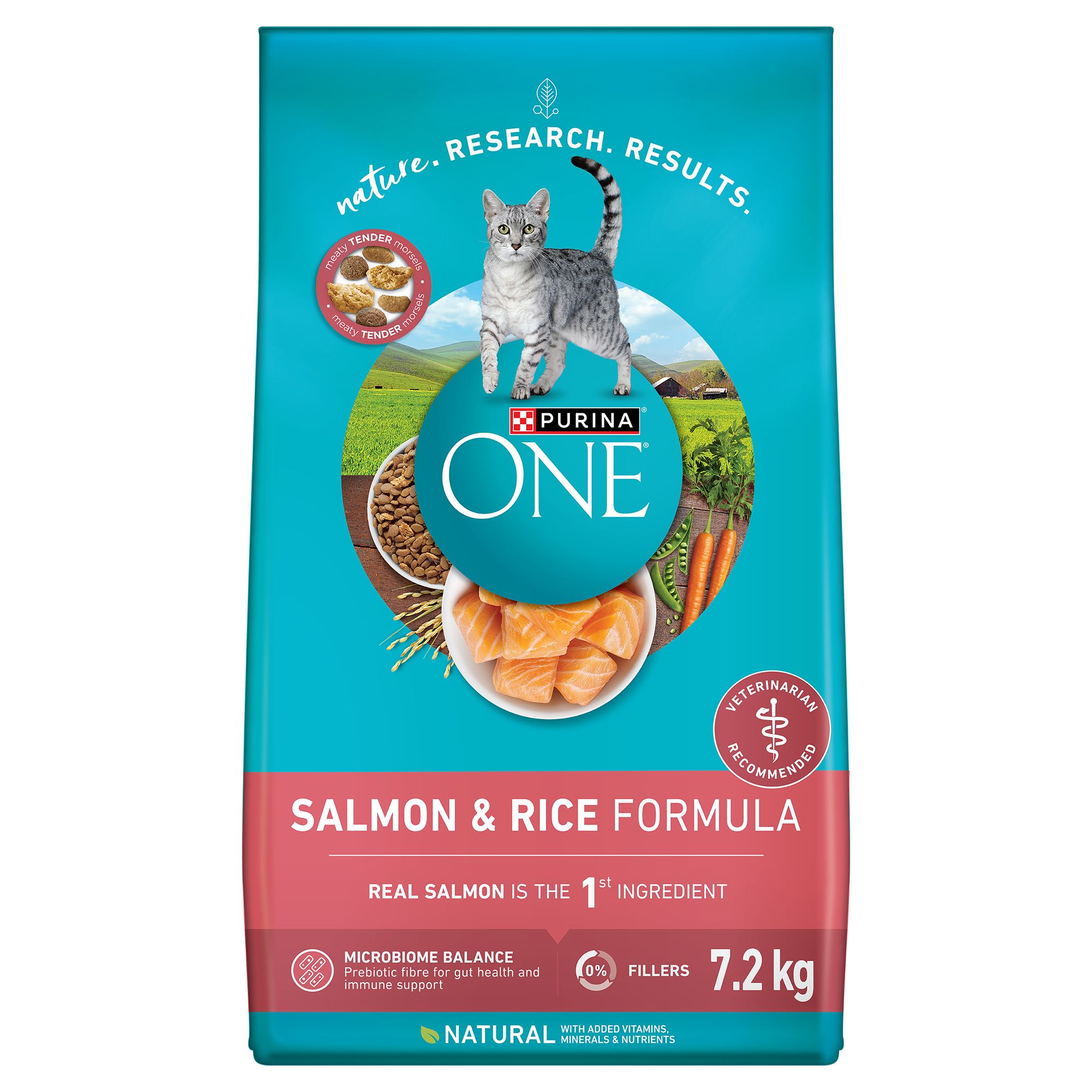 Purina ONE Adult Cat Fodd Salmon Rice cat Dry Food PetSmart