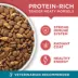 Purina ONE Microbiome Balance Dry Cat Food - Salmon & Rice Formula image thumbnail 6
