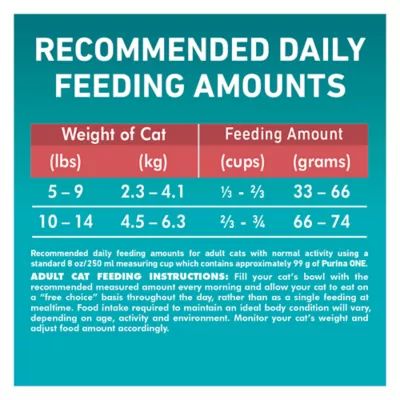 Product Purina ONE Adult Cat Fodd - Salmon & Rice