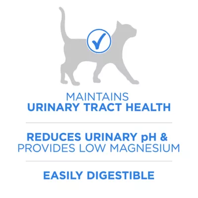 Purina ONE Urinary Tract Health Adult Cat Food