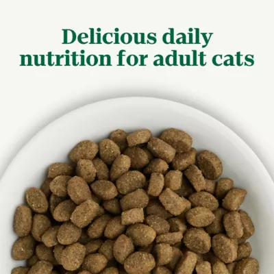 Nutro Wholesome Essentials Adult Cat Food - Salmon & Brown Rice - Image 6