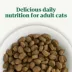 Nutro Wholesome Essentials Adult Cat Food - Salmon & Brown Rice image thumbnail 6