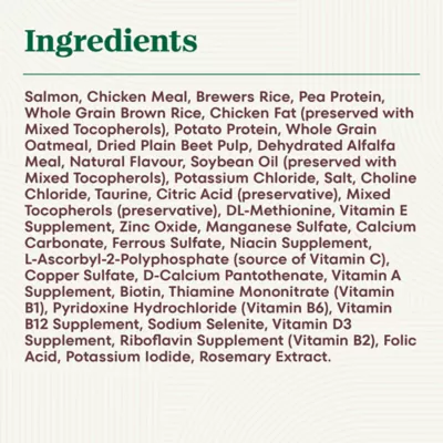 Nutro Wholesome Essentials Adult Cat Food - Salmon & Brown Rice - Image 10