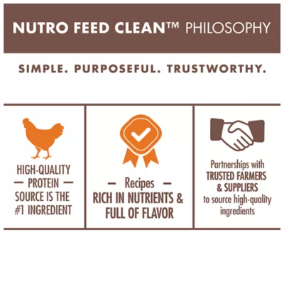 Product Nutro Wholesome Essentials Kitten Dry Cat Food Chicken & Brown Rice