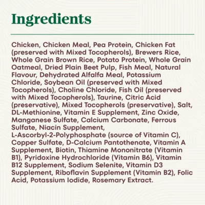 Nutro Wholesome Essentials Kitten Dry Cat Food Chicken & Brown Rice - Image 10