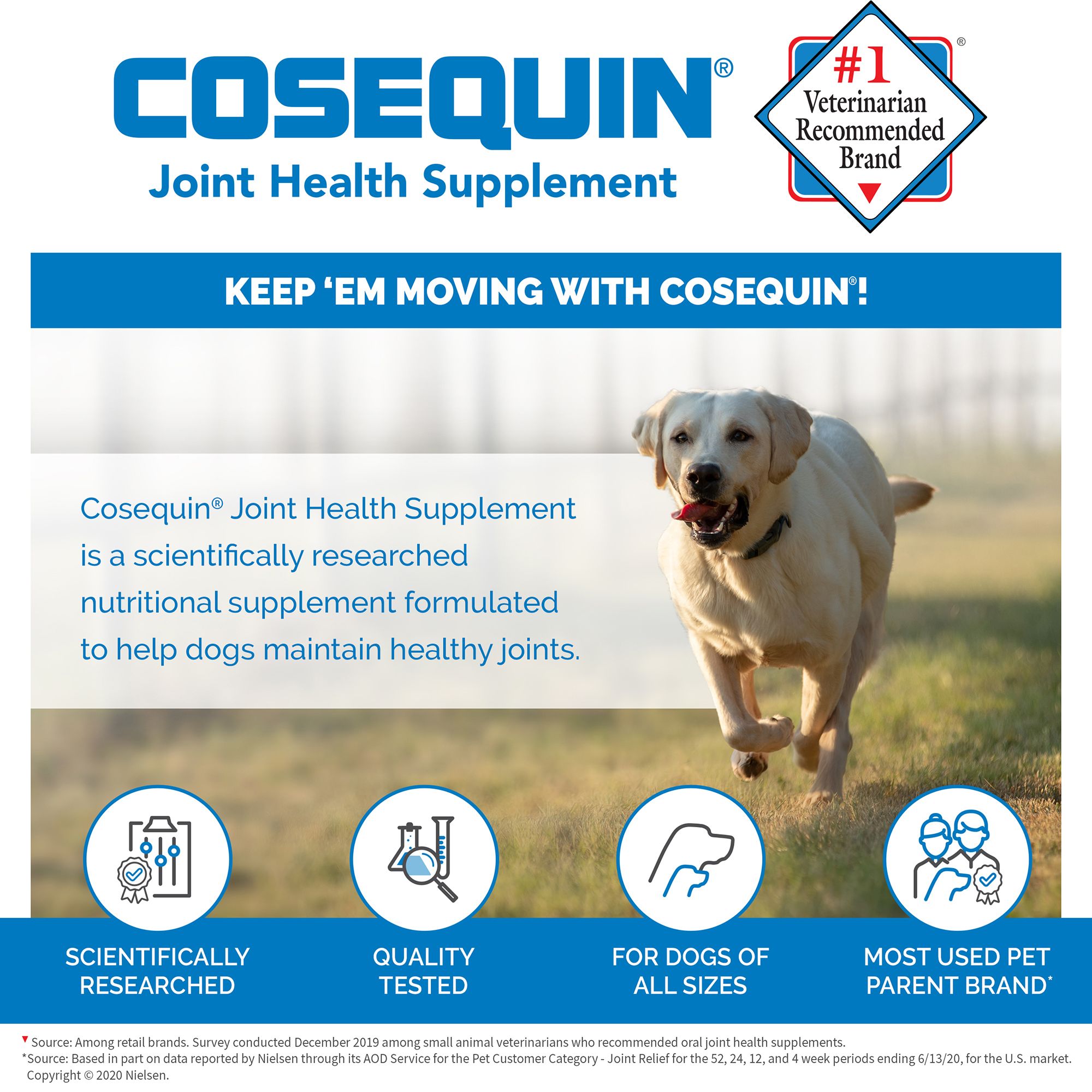 does cosequin cause diarrhea in dogs