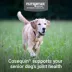 Nutramax® Cosequin® Joint Health Supplement for Senior Dogs - Maximum Strength Soft Chews - 60 Count image thumbnail 3