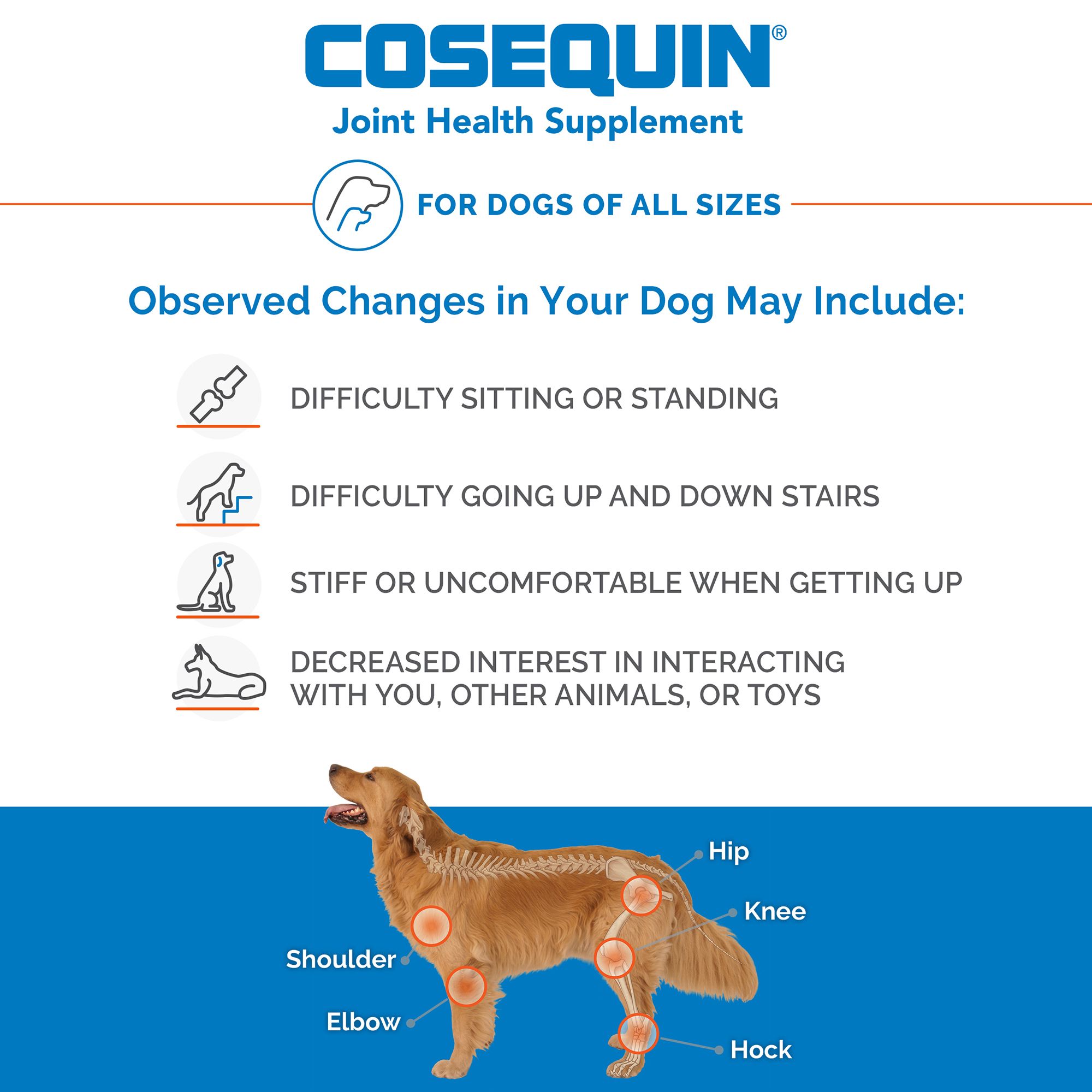 cosequin for dogs petsmart