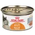 Royal Canin® Feline Health Nutrition™ Intense Beauty Adult Cat Food image thumbnail 1