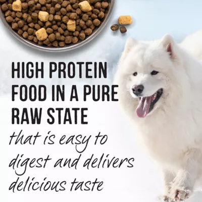 Product Merrick® Backcountry® Raw Infused Puppy Dry Dog Food - Grain Free, Chicken & Salmon