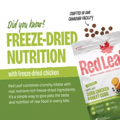 Red Leaf Puppy Food - Cobb Chicken - Image 3
