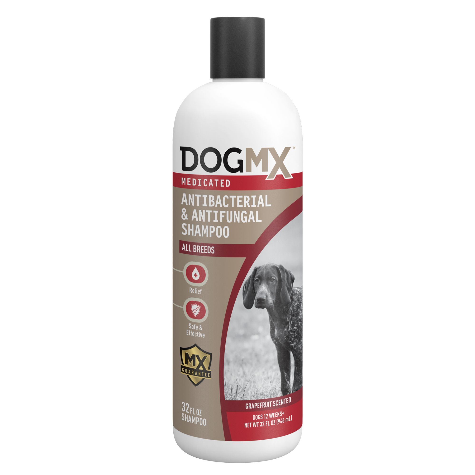 Bliv Ruin forhåndsvisning Dog MX&trade; Medicated Antibacterial & Antifungal Shampoo for Dogs -  Grapefruit | dog Shampoos & Conditioners | PetSmart