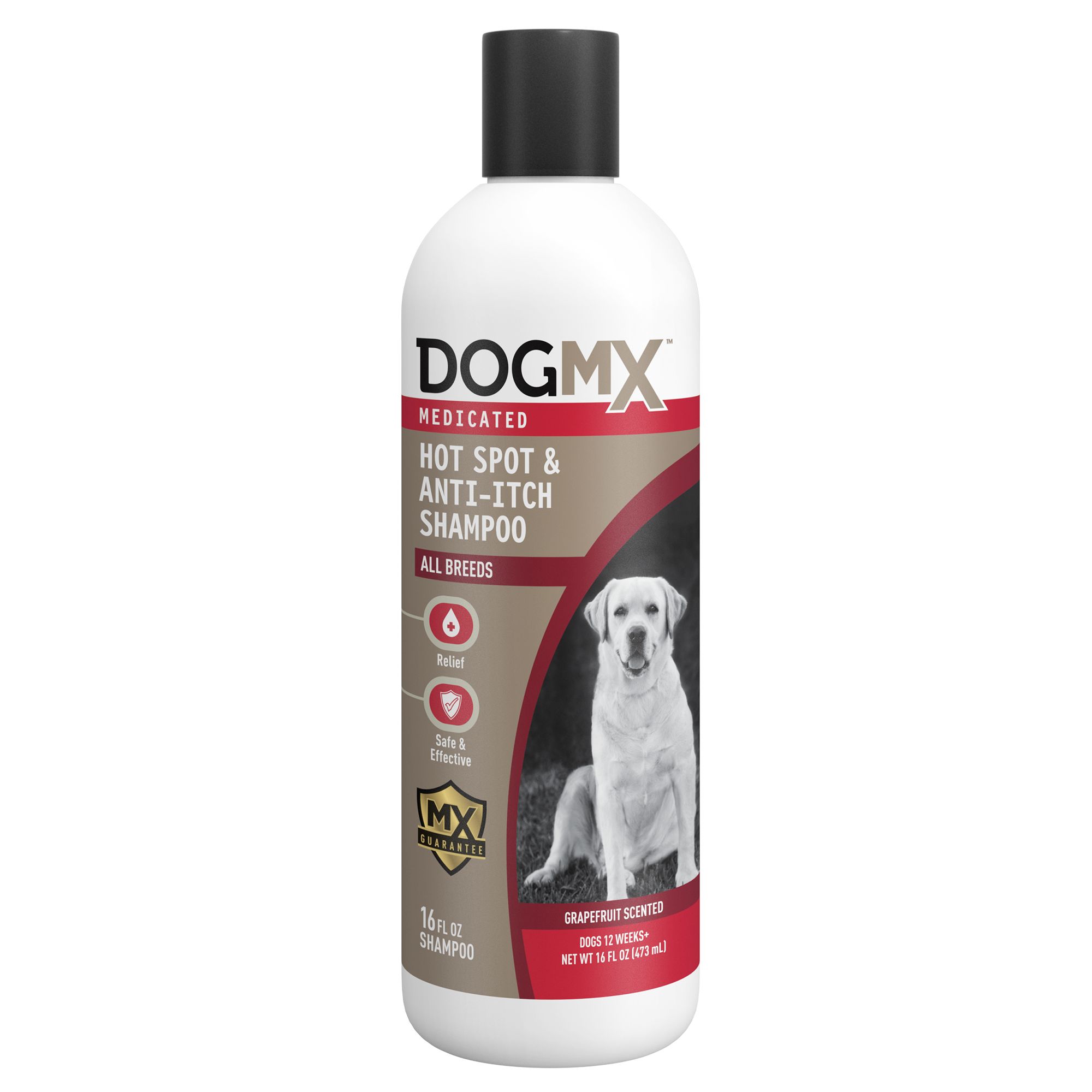 Antibiotic dog shampoo best sale