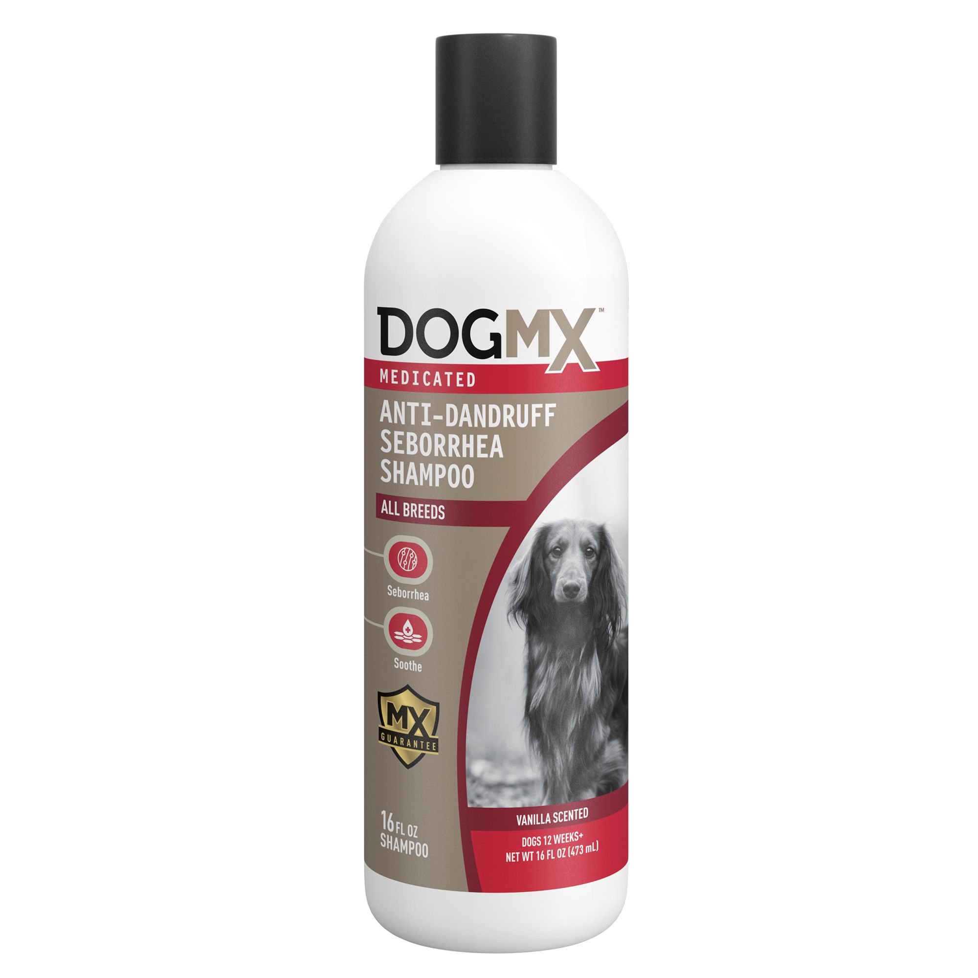 canine seborrhea shampoo