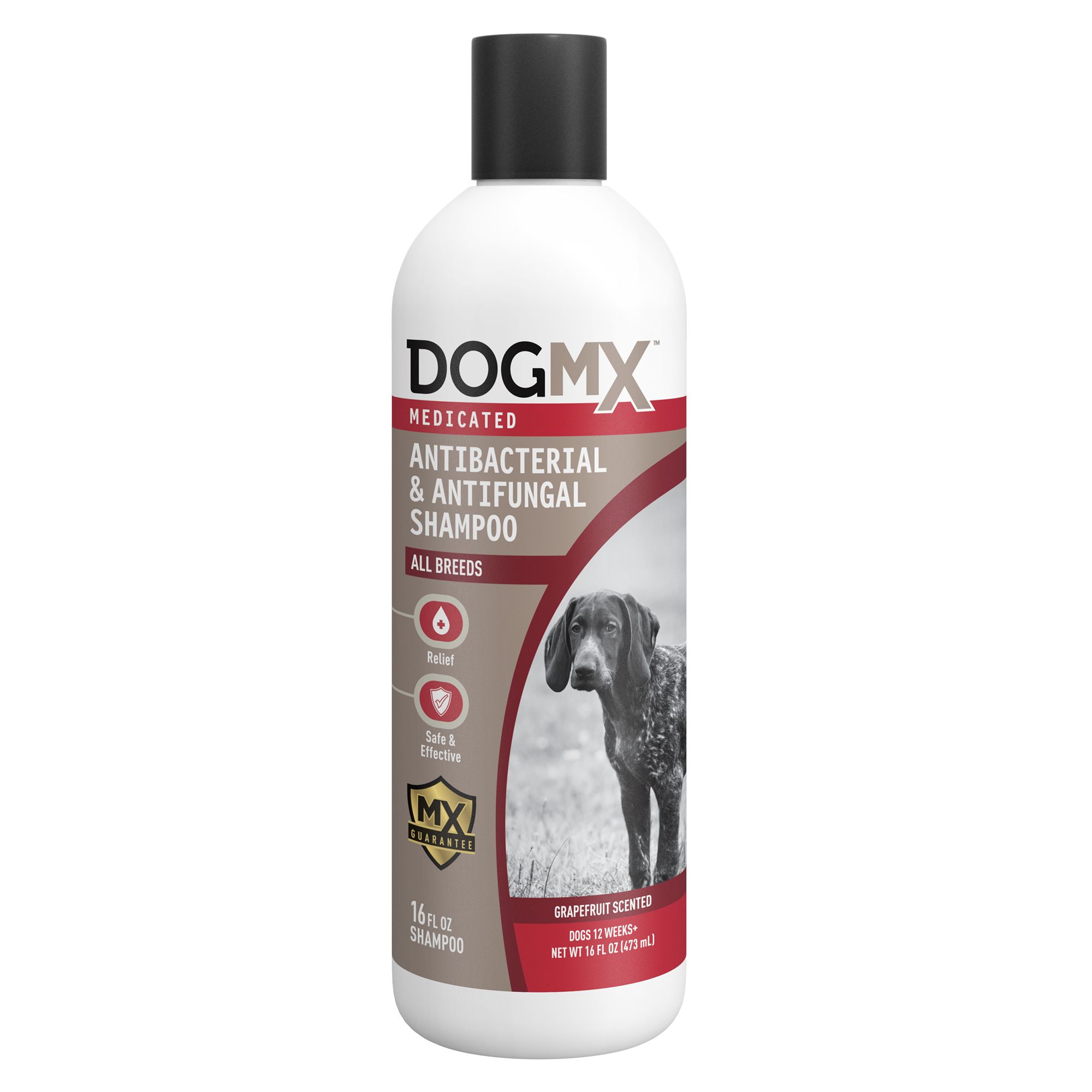 dog Shampoos \u0026 Conditioners 