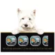 Product Cesar Home Delights Adult Wet Dog Food Pot Roast & Chicken Variety Pack, 12ct