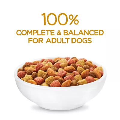 Product Purina Beneful Originals Adult Dog Food - Chicken