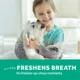 Product TropiClean Fresh Breath Oral Care Foam for Dogs