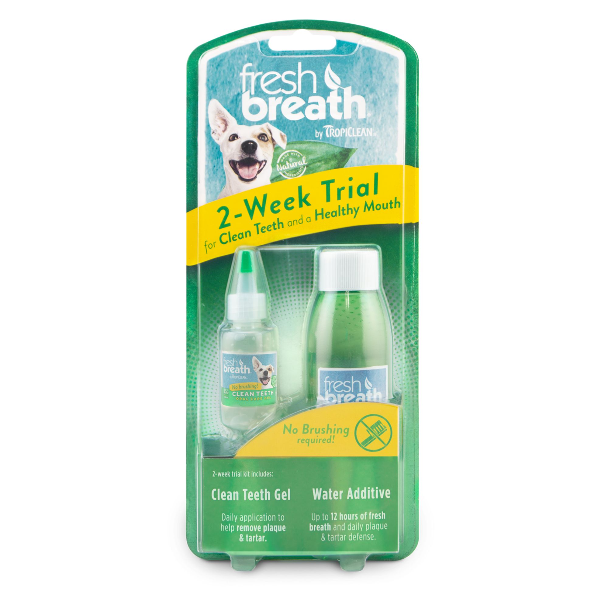 dog toothbrush petsmart