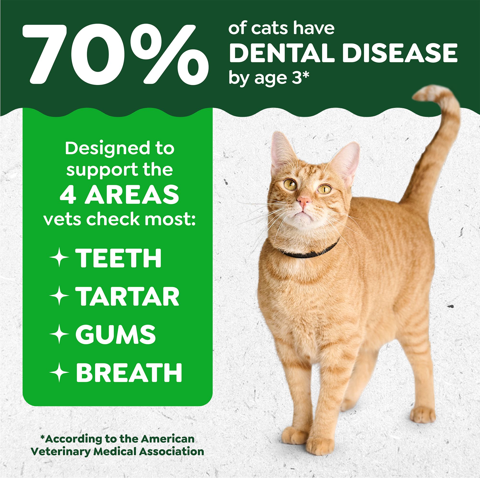 greenies catnip dental treats