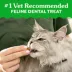 Greenies™ Feline Greenies Adult Cat Dental Treats - Dental Care, Natural, Chicken image thumbnail 2