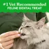 Greenies™ Feline Greenies Adult Cat Dental Treats - Dental Care, Natural, Tuna image thumbnail 4