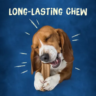 Product Purina® Busy Bone Small/Medium Dog Treat - Beef, Long-Lasting Chew, Produced in USA Facilities