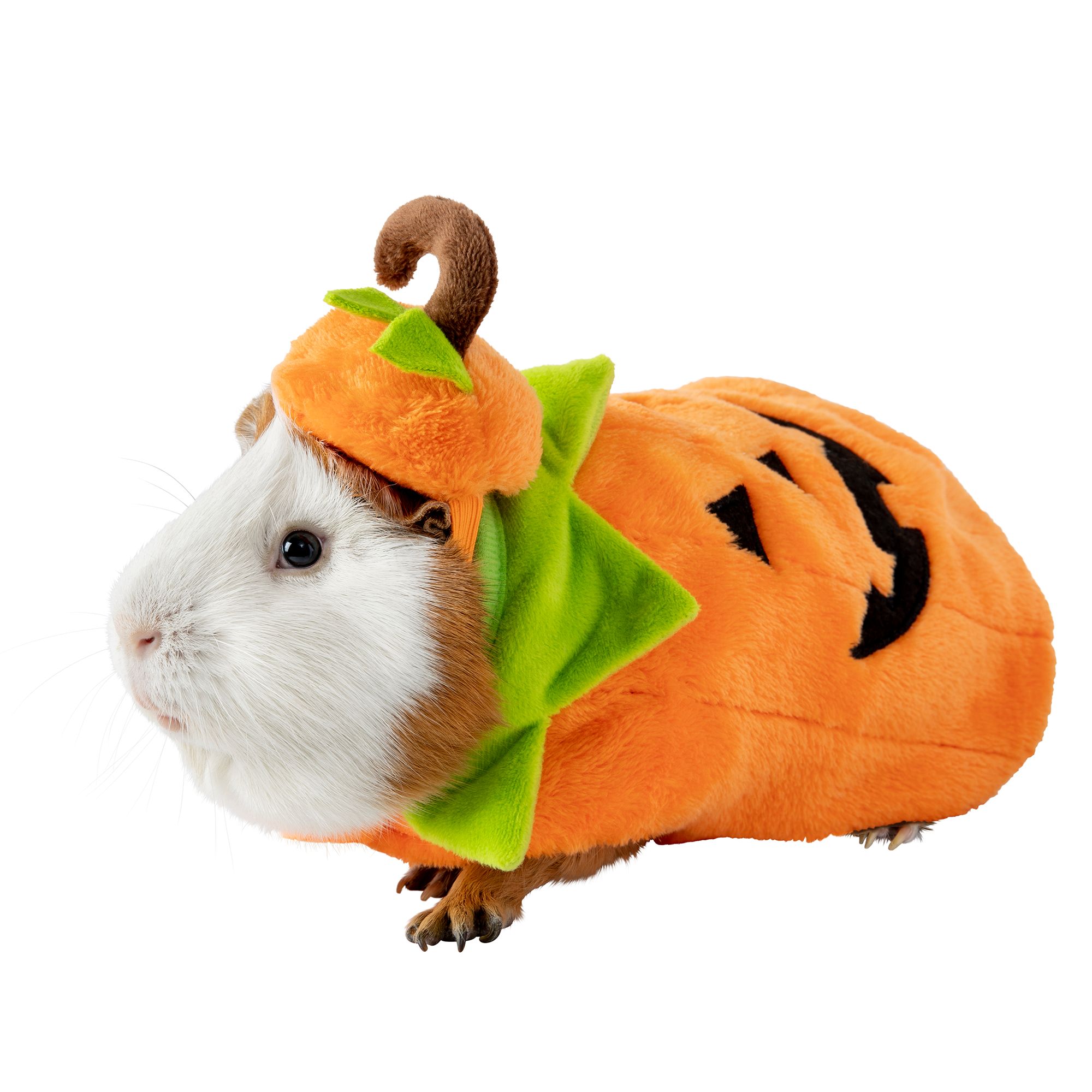 petsmart small animal costumes