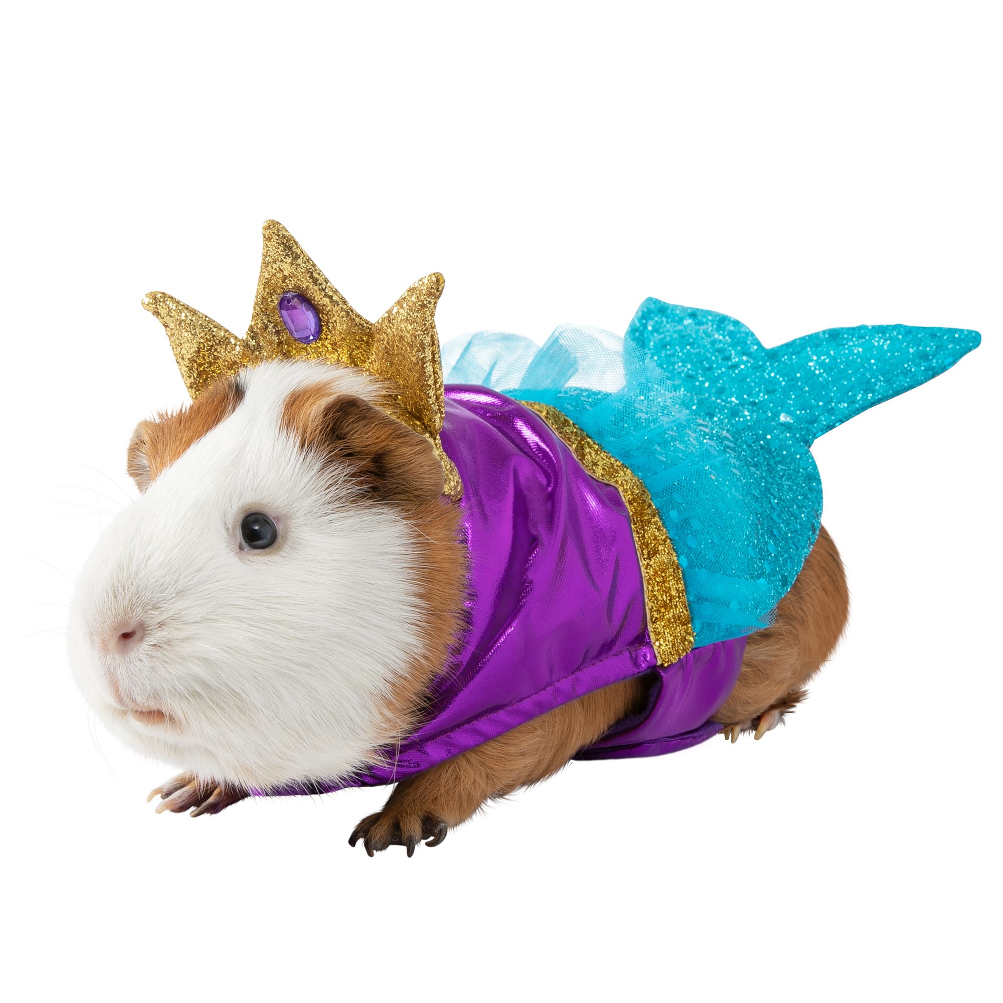 PetSmart's Christmas Costumes Will Make Your Guinea Pig the Most