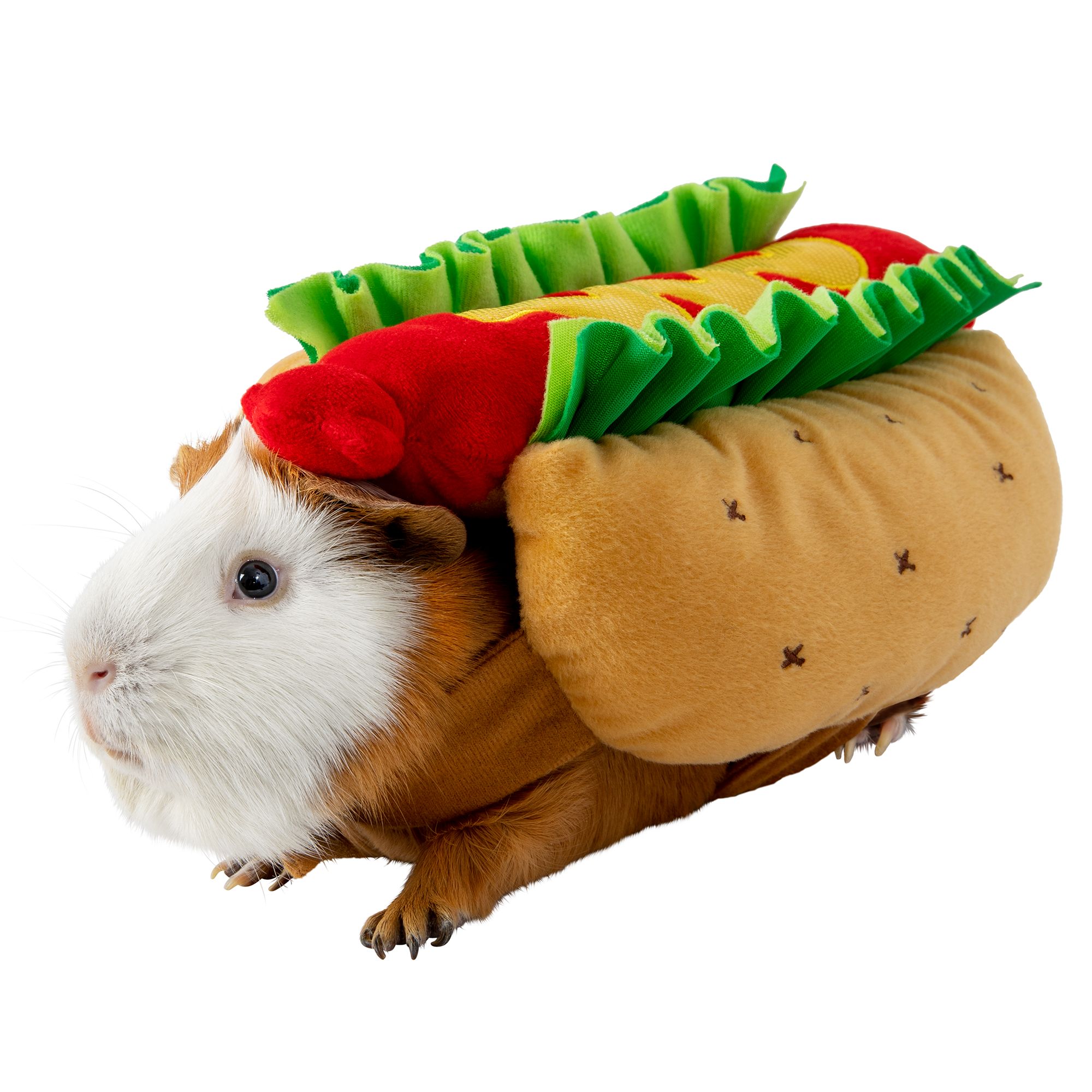 Guinea Pig Hot Dog Halloween Costume 