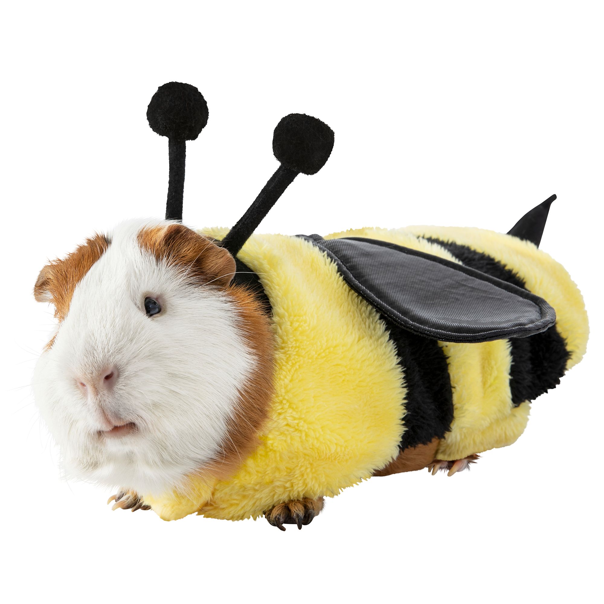 petsmart small animal costumes