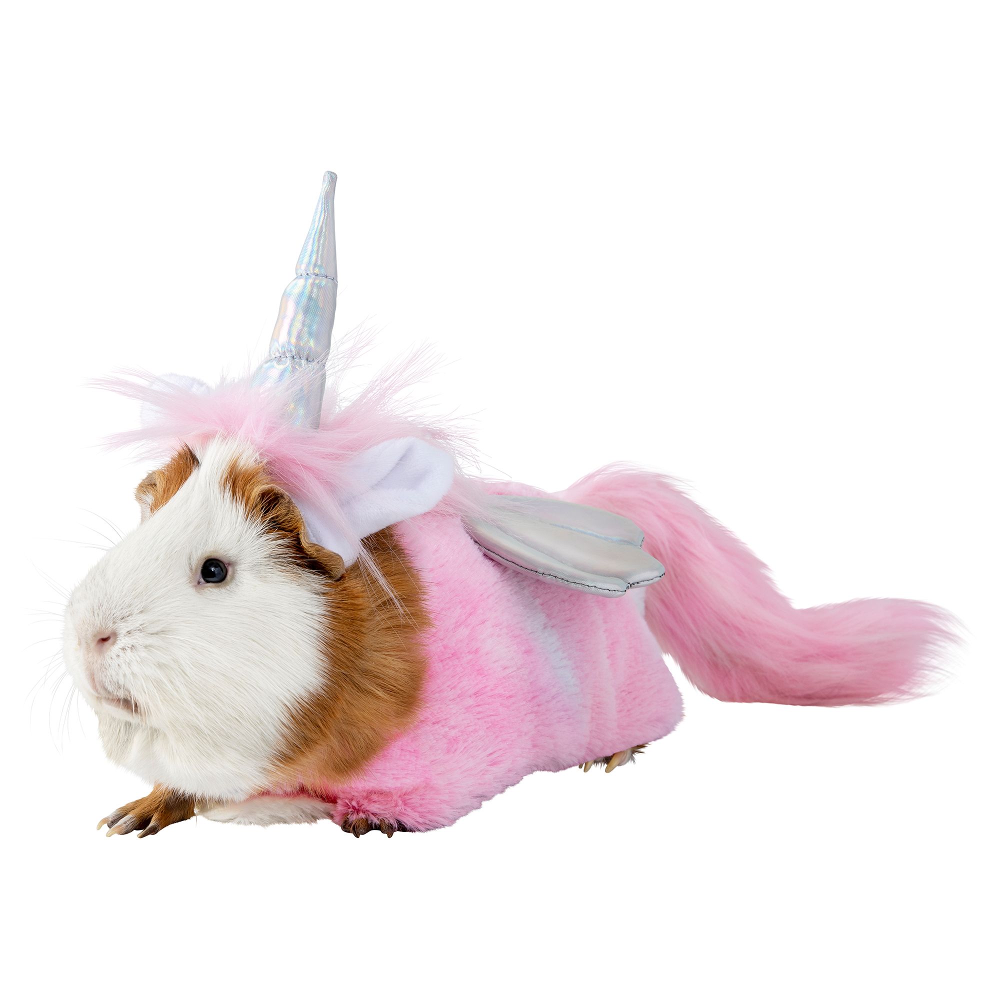 petsmart small animal costumes