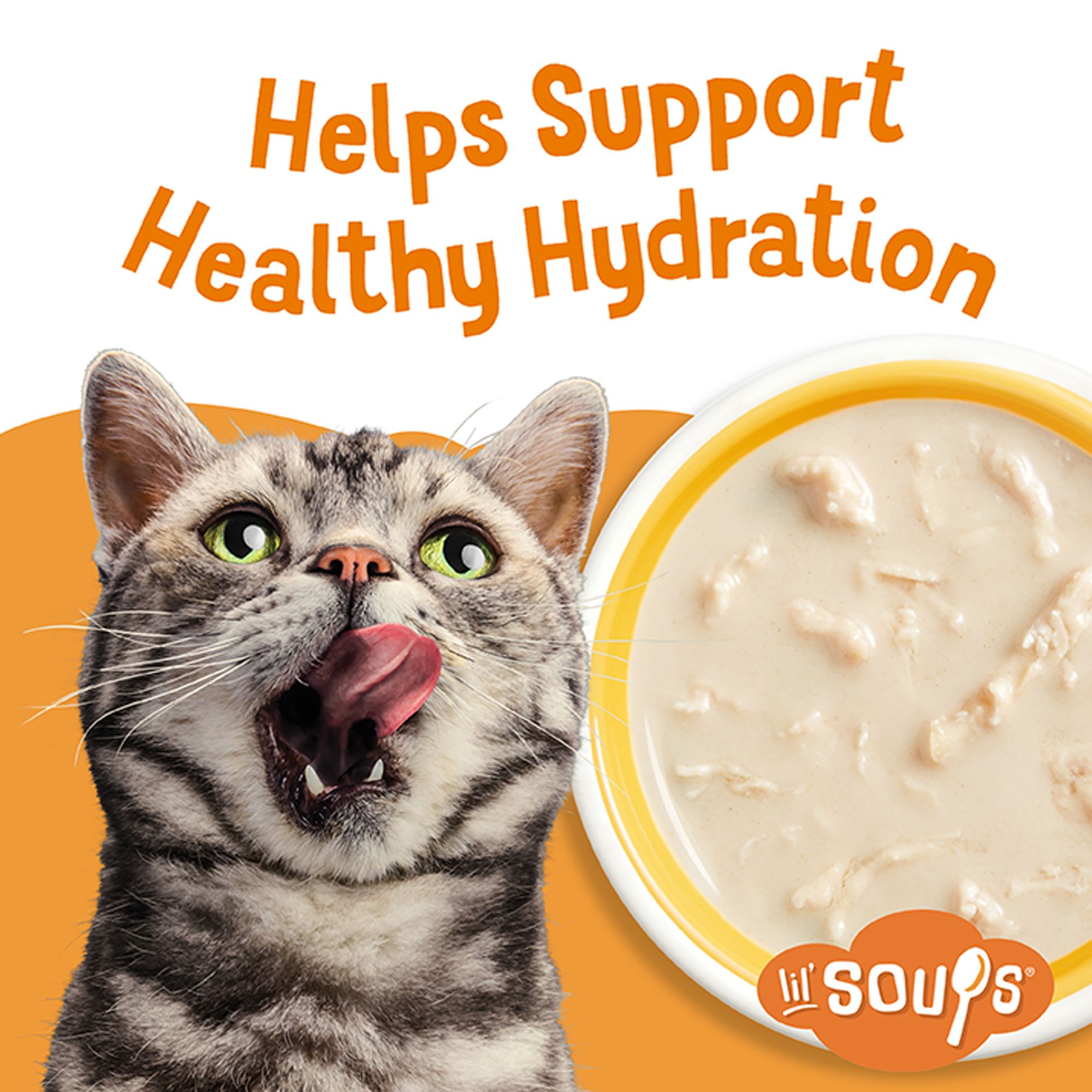 Purina® Friskies® Lil' Soups® Cat Food Complement - 1.2oz - thumbnail 3