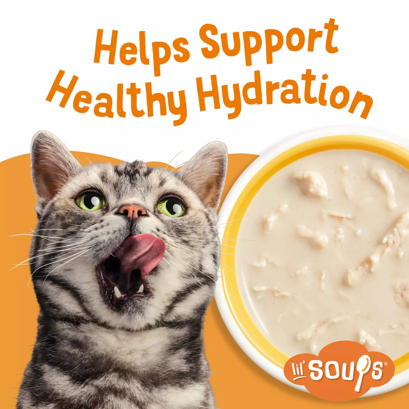 Purina Friskies Lil Soups Cat Food Complement 1.2oz