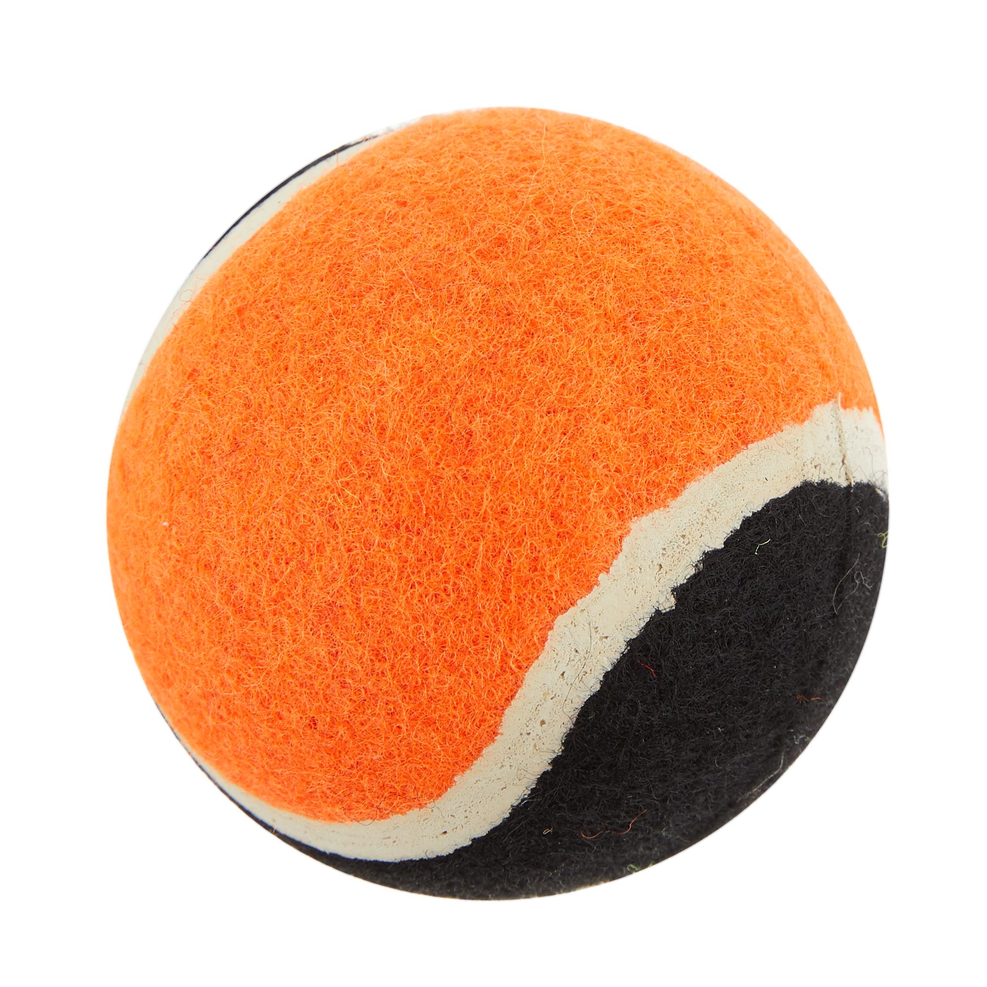 tennis ball dog toy