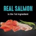 Crave High Protein Adult Dry Cat Food - Grain Free, Salmon & Ocean Whitefish image thumbnail 6