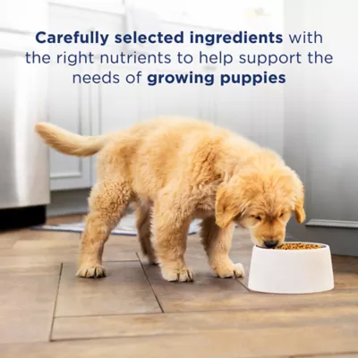 Product Natural Balance Limited Ingredient Diets With-Grain Puppy Dry Dog Food - Chicken & Brown Rice