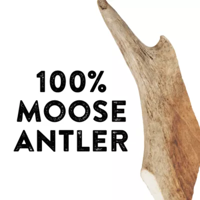 Product Dentley's® Nature's Chews Extra Large Split Moose Antler Dog Chew - 2 Oz.