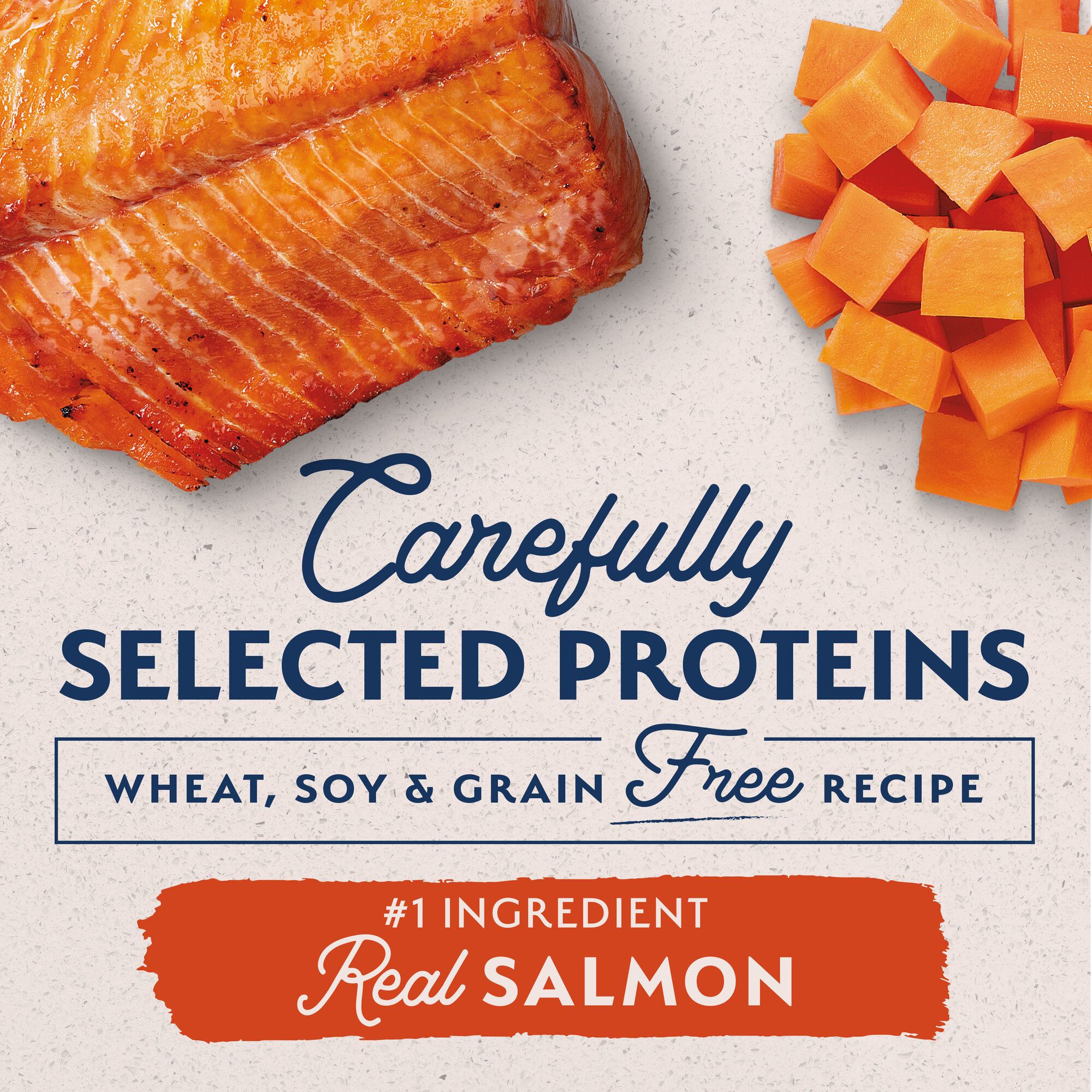natural balance salmon sweet potato