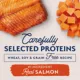 Product Natural Balance Limited Ingredient Diets Adult Dry Dog Food - Salmon & Sweet Potato