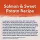 Product Natural Balance Limited Ingredient Diets Adult Dry Dog Food - Salmon & Sweet Potato