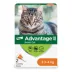 Advantage® II Small Cat Once-A-Month Topical Flea Treatment for Cats 2.3 to 4 kg image thumbnail 1