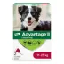 Advantage® II Large Dog Once-A-Month Topical Flea Treatment - 11 to 25 kg image thumbnail 1