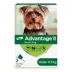 Advantage® II Once-A-Month Topical Flea Treatment for Dogs Under 4.5 kg image thumbnail 1